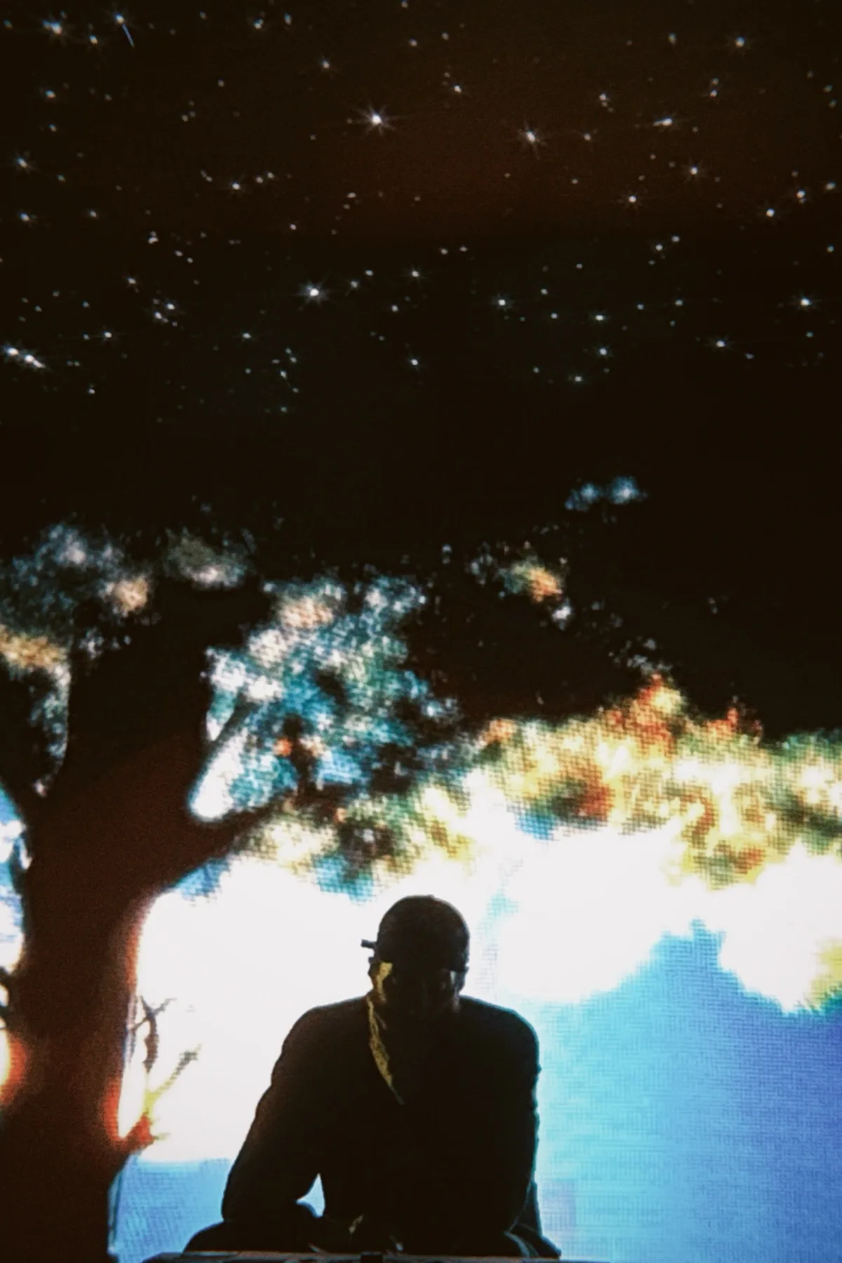 Silhouette sul palco sotto una proiezione LED di un albero contro un cielo stellato